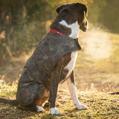 Fox Signalizátor Mini Micron X