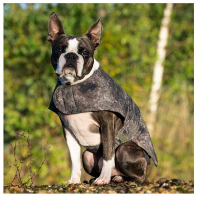 Fox Signalizátor Mini Micron X