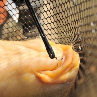 Guru Vyprošťovač Conti Disgorger