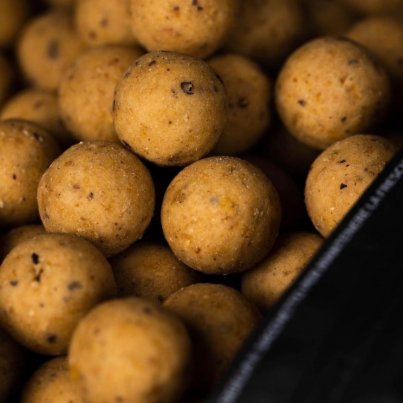 Mainline Shelf Life Boilies Cell 15mm 5kg