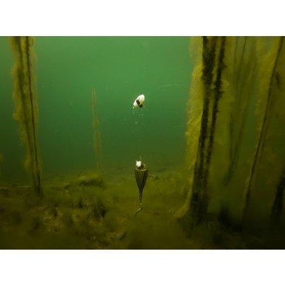 Fox Plovák Edges Zig Float Kit