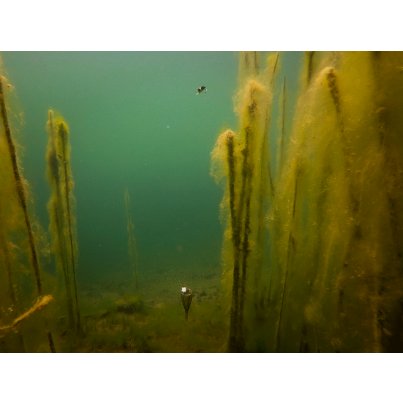 Fox Plovák Edges Zig Float Kit