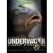 Korda DVD Underwater